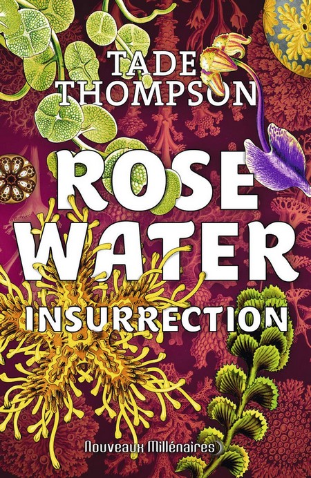 rosewater redemption rosewater redemption